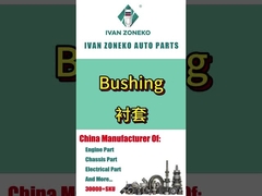 Ivan Zoneko - Bushing